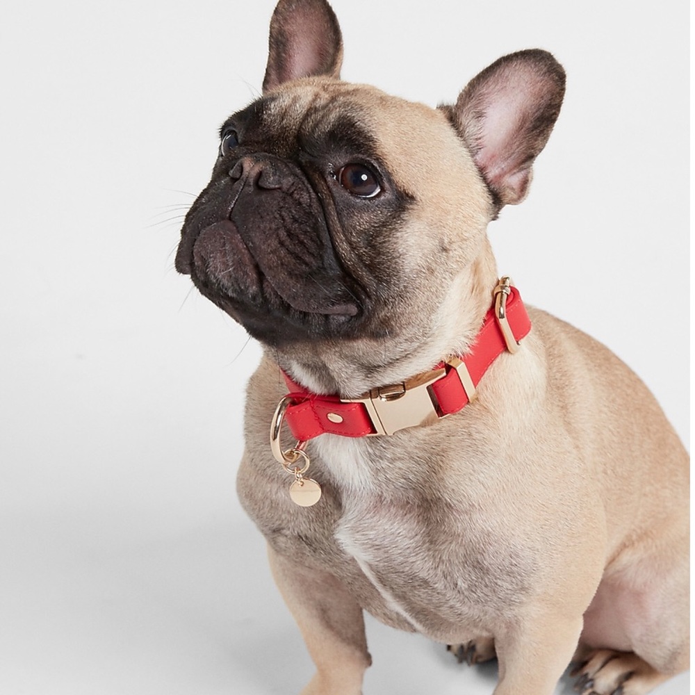 🎉🎉🎉🎉Host Pick🎉🎉🎉🎉🎉Faux leather dog collar
